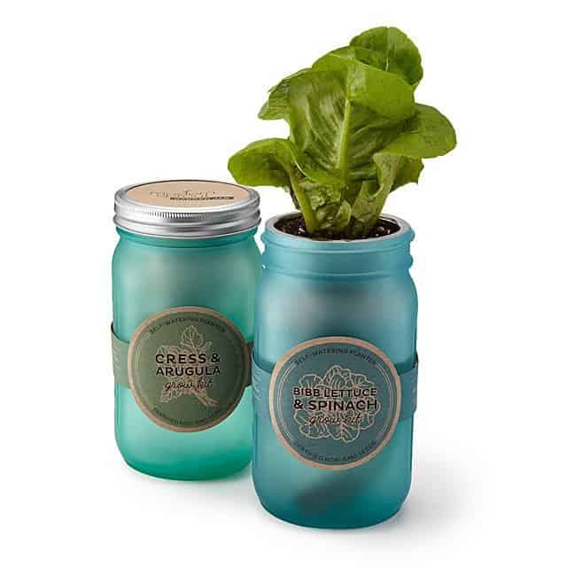 Leafy Greens Garden Jar