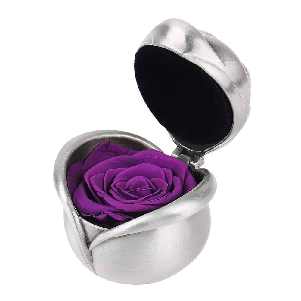 Preserved Flower Rose