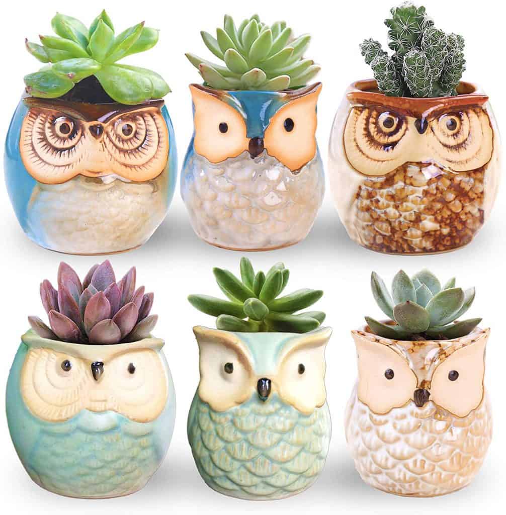Owl Pots